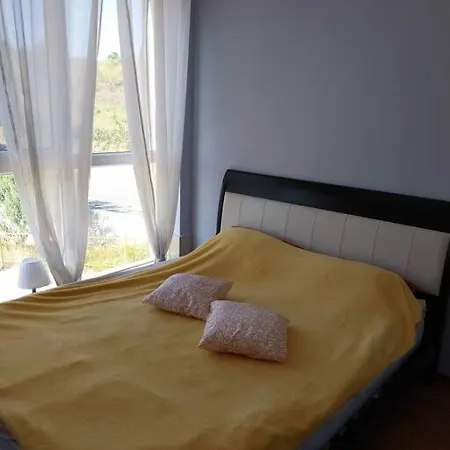 лана 2 *
